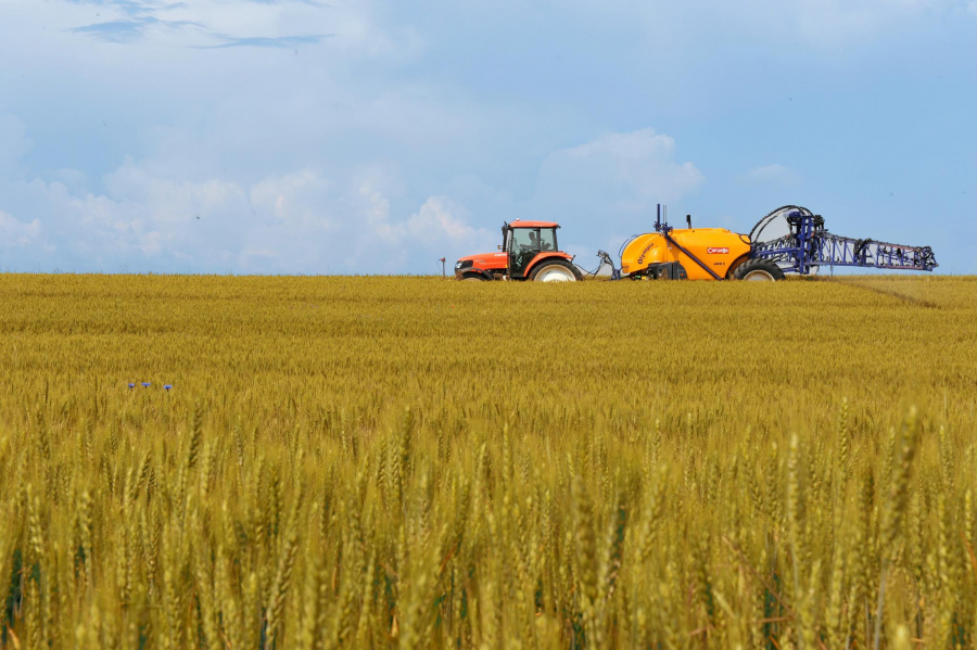 Culturile agricole trebuie asigurate