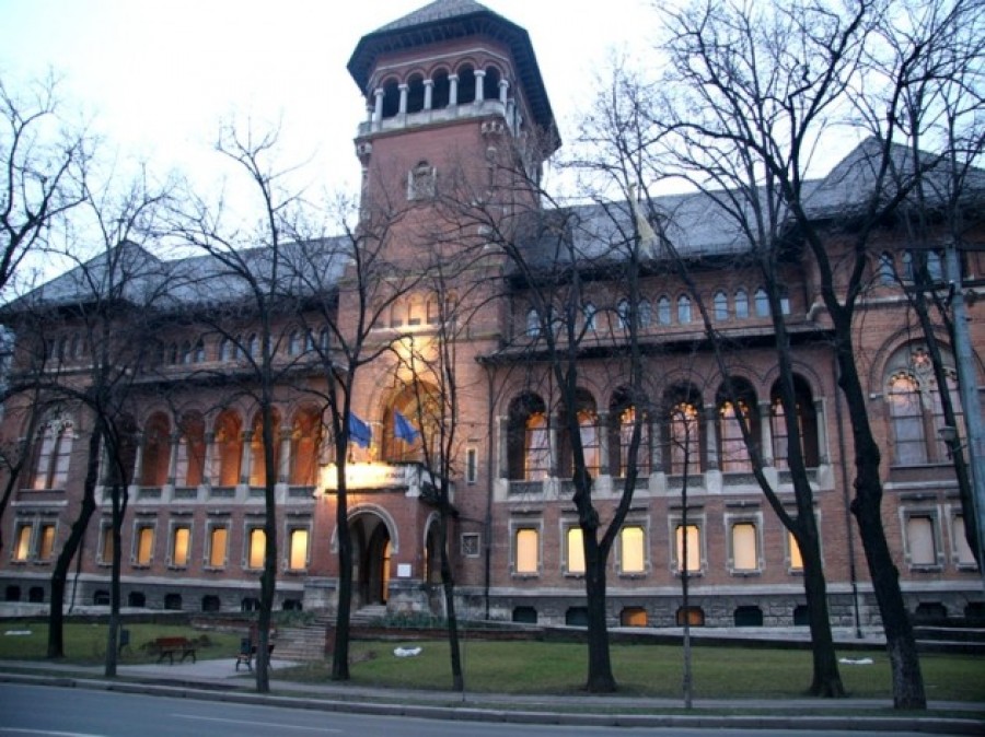 Muzeul Ţăranului Român a primit certificatul de excelenţă din partea TripAdvisor