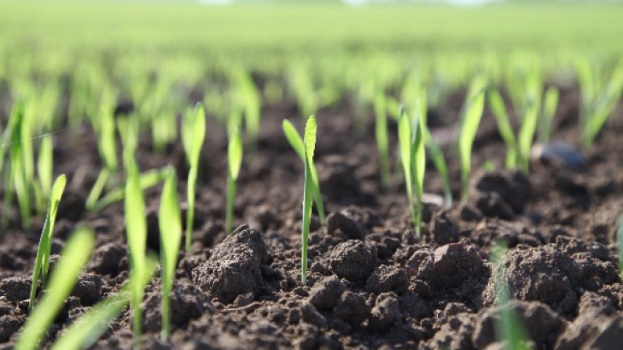 Cum vede Preşedinţia viitorul agriculturii?