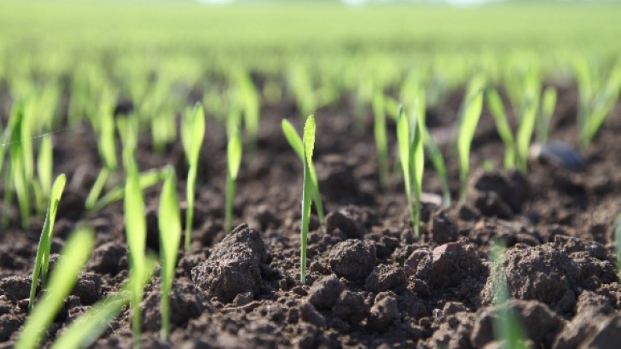 Cum vede Preşedinţia viitorul agriculturii? 