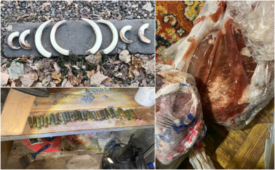 Partide de vânătoare ilegale, în preajma Galațiului