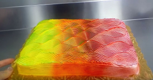 Tortul care îşi schimbă culoarea, în funcţie de poziţie | VIDEO