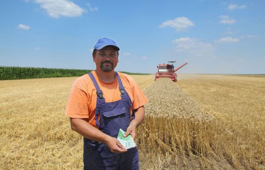 AJUTOR DE STAT pentru firmele înfiinţate în mediul rural. Proiect aflat în dezbatere publică