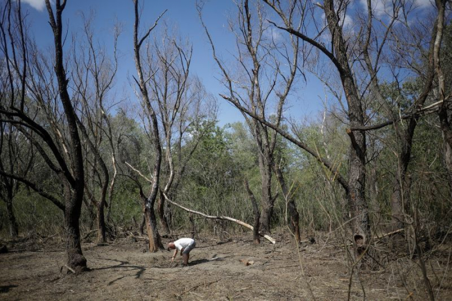 Fragmente de dronă rusească, găsite la Periprava