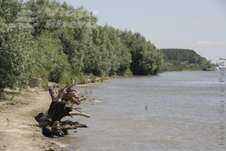 Prizonieri în blocurile de beton