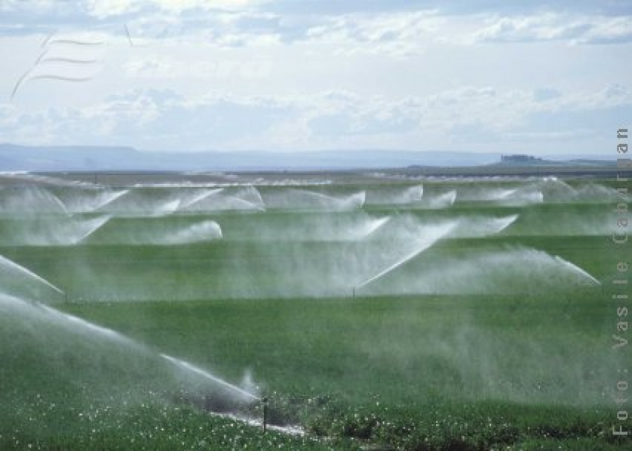 Irigaţii, pe 65.000 de hectare din judeţul Galaţi