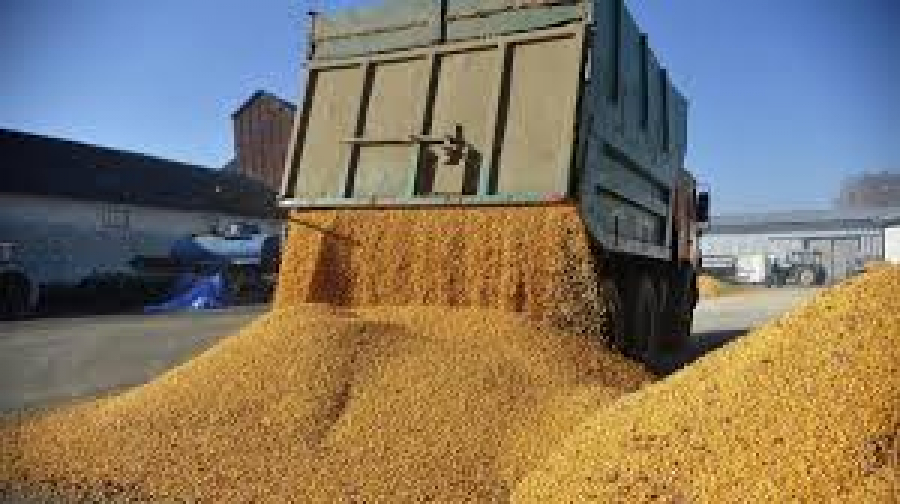 Agricultura, scădere abruptă a comerțului angro