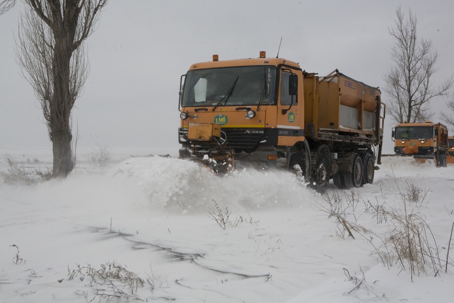 Proprietăţile private, barieră în calea perdelelor forestiere: Fără pădure, Galaţiul e la mila naturii!