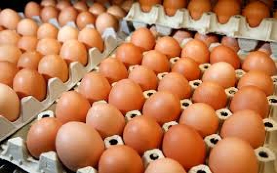 La Galaţi, producţia ouălor de găină a crescut 