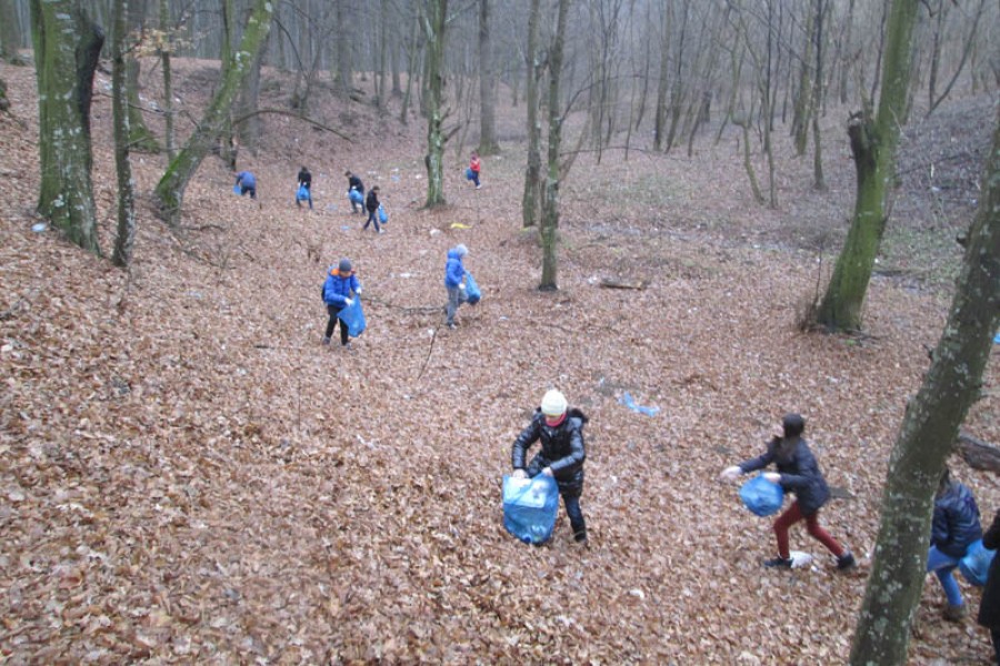 Un proiect verde propus de Şcoala Nr. 11 din Tecuci are nevoie de susţinere