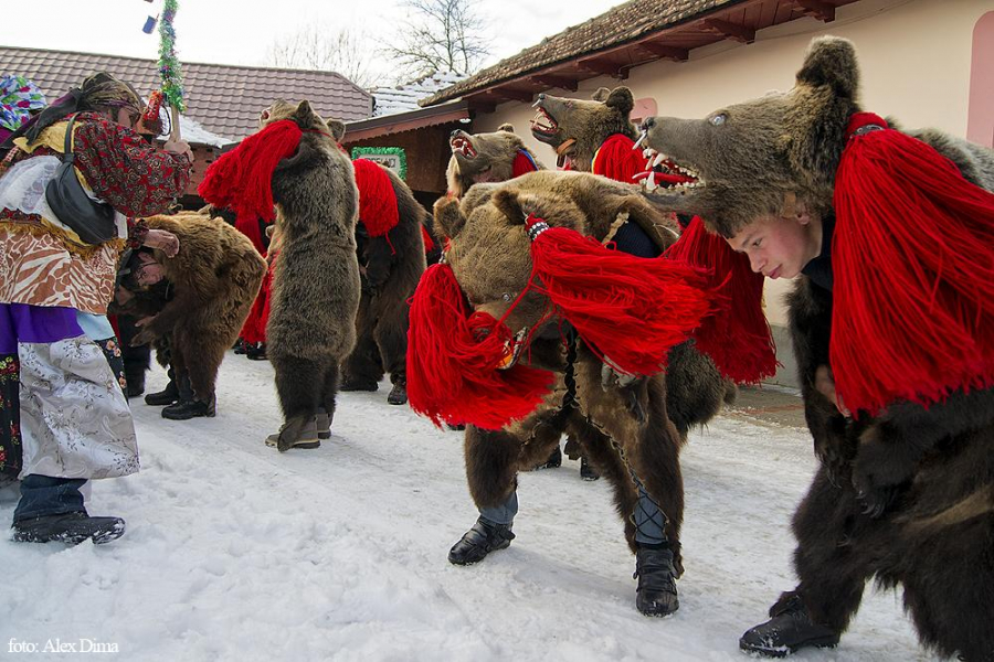 Galaţiul Colindat Si Urat După Tradiţii Străvechi Festivalul De