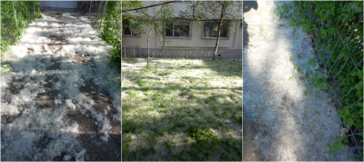 Poza zilei. S-a deschis sezonul de schi în Micro 17
