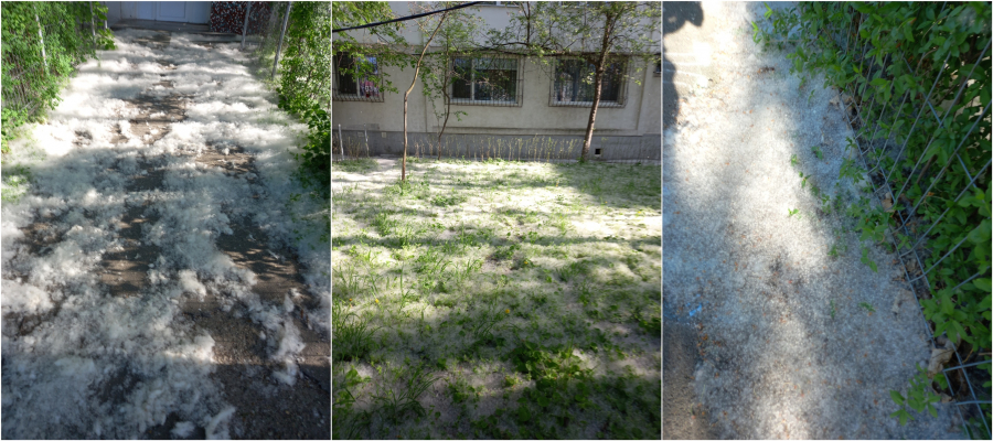 Poza zilei. S-a deschis sezonul de schi în Micro 17