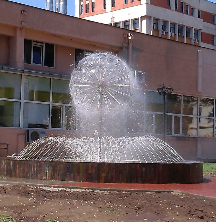 PĂPĂDIE în miniatură, în curtea Facultăţii de Mecanică