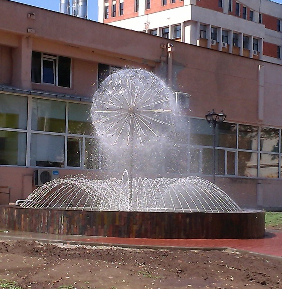 PĂPĂDIE în miniatură, în curtea Facultăţii de Mecanică