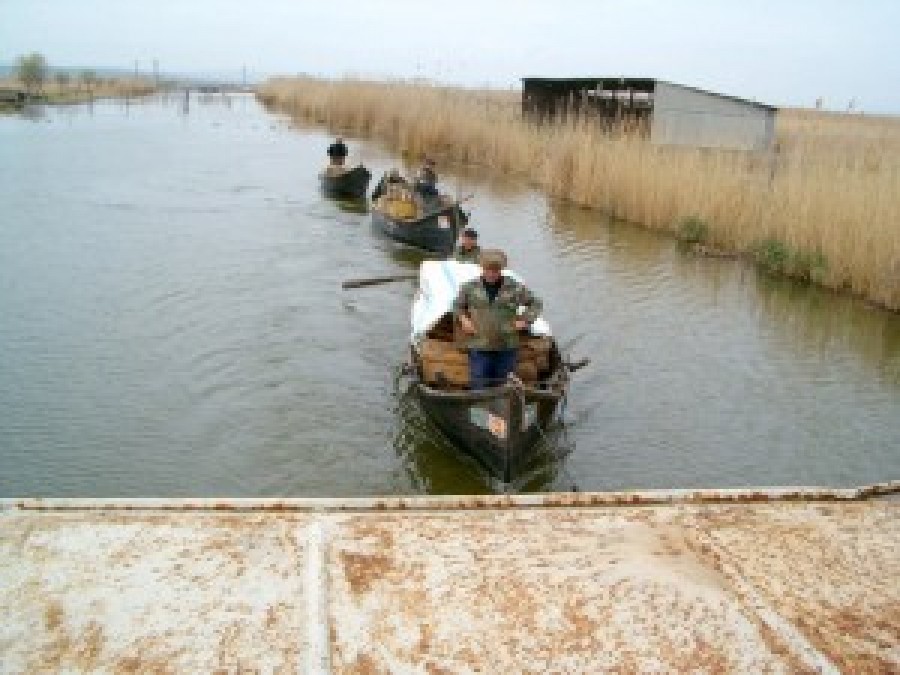 TULCEA: Au fost aprobate cotele de pescuit în Rezervaţia Biosferei Delta Dunării
