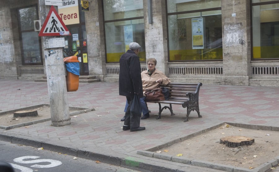 Planurile Gospodărire Urbană: Ce va fi PLANTAT pe Domnească, în locul TEILOR