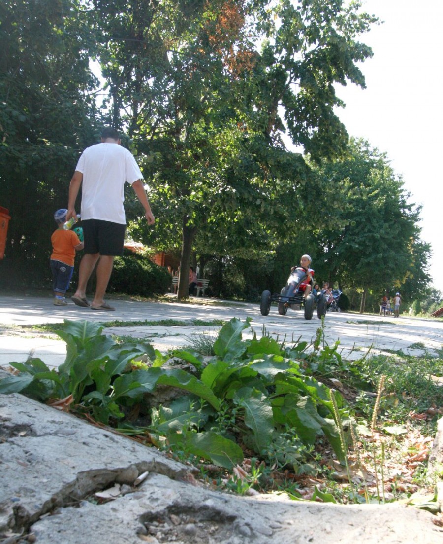 DE NECREZUT! Parc gălăţean invadat de şobolani (GALERIE FOTO) 