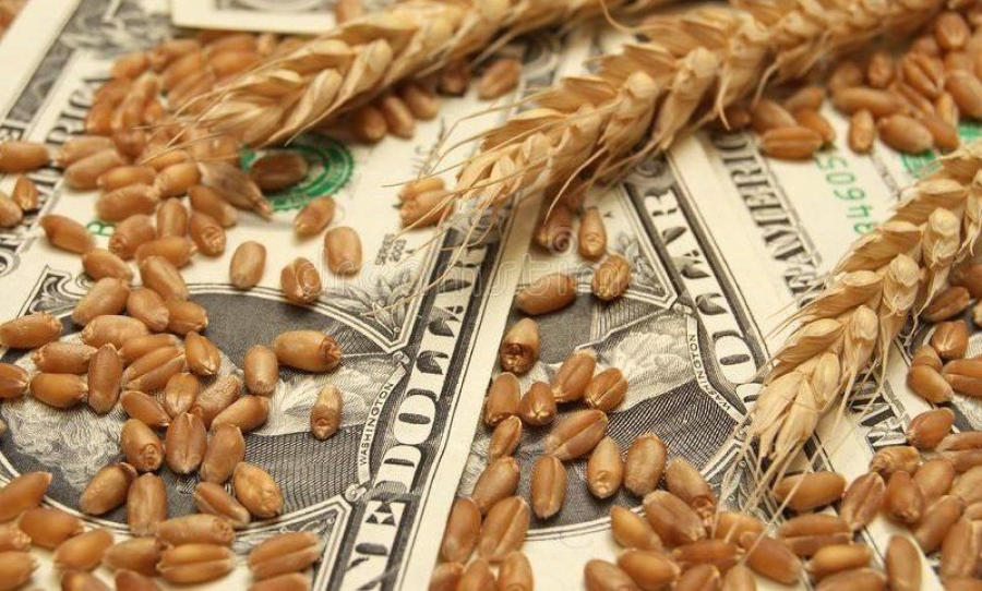 Rusia, acuzată de "crime de război" în criza cerealelor
