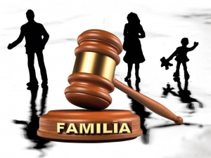 Consiliul de familie apără interesele minorilor