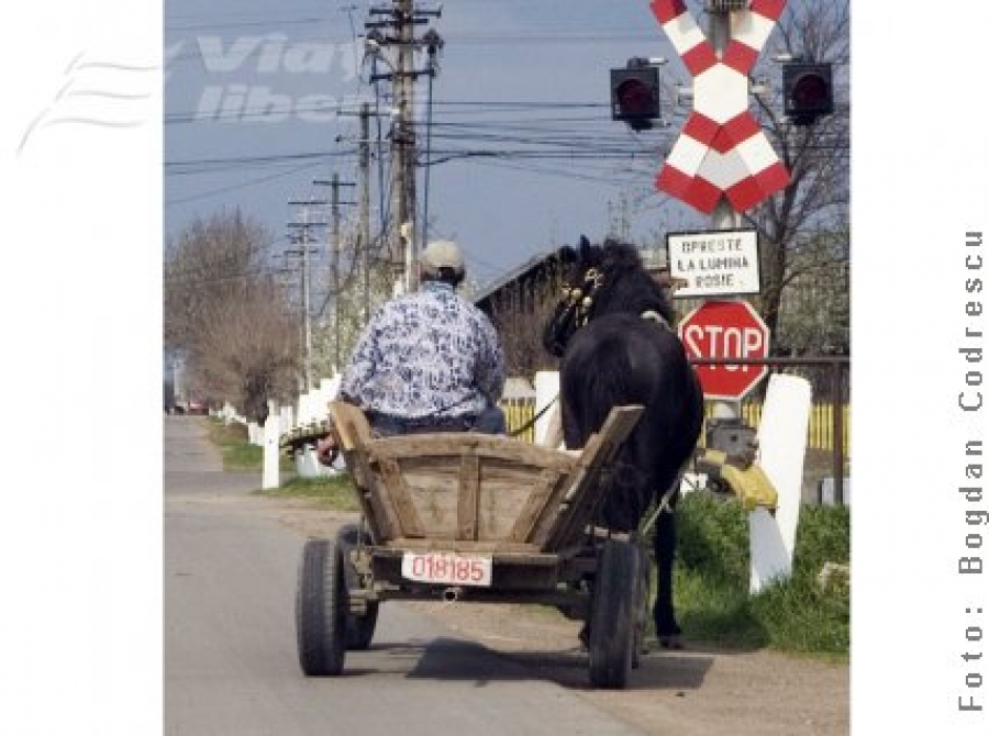 Căruţaşii, disciplinaţi de poliţişti