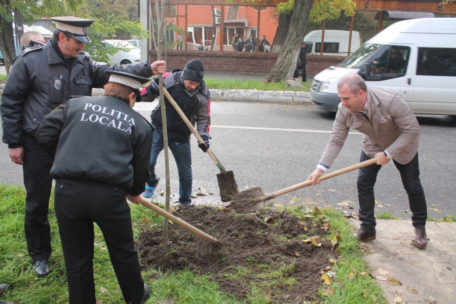 Funcţionarii publici au plantat copaci, alături de gălăţeni