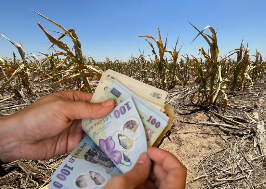 Fermierii gălățeni afectați anul trecut de secetă pot cere amânarea plății creditelor