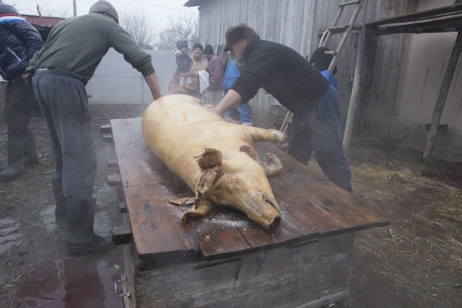 Cât COSTĂ carnea de porc, în supermarketuri, pieţe şi la gospodari