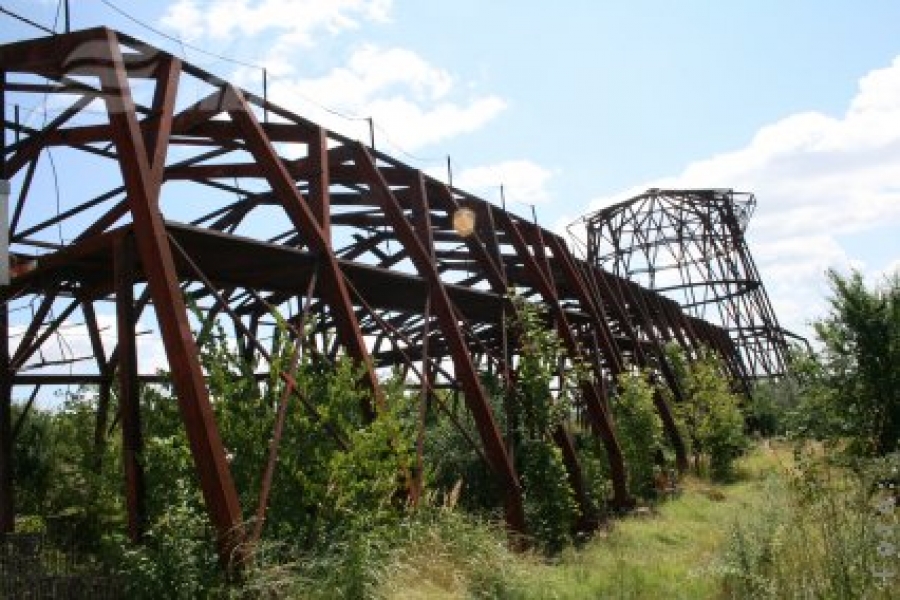 Un schelet de 12 ani, în Grădina Botanică