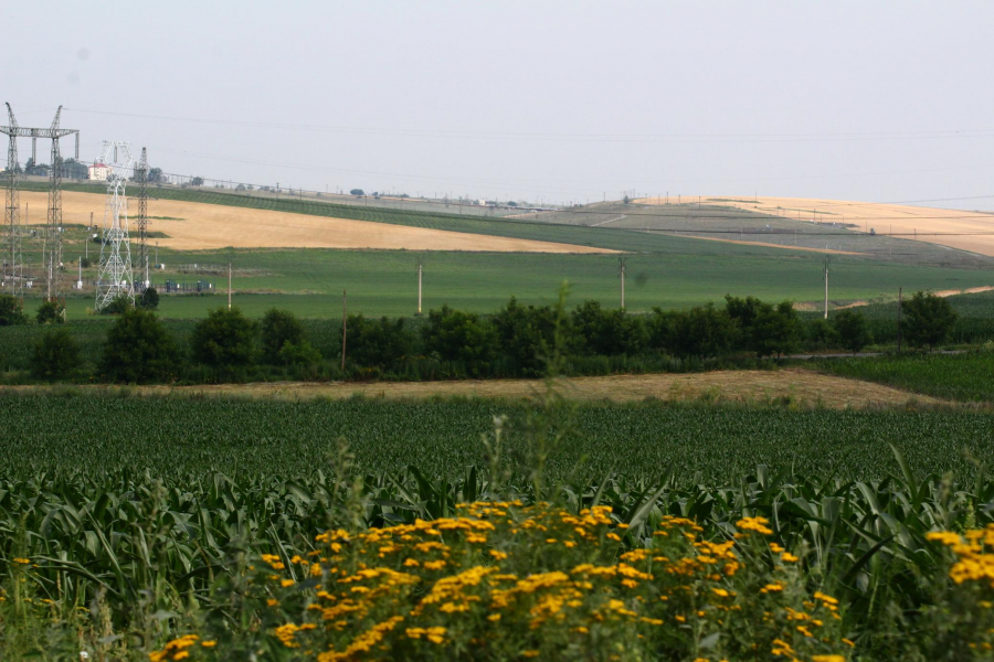 Doar 1 la sută din solul agricol al Galaţiului este de clasa I