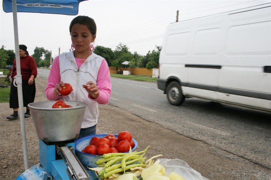 Legumele se vând ieftin, „din poartă”: Roşiile costă de trei ori mai puţin în judeţ  