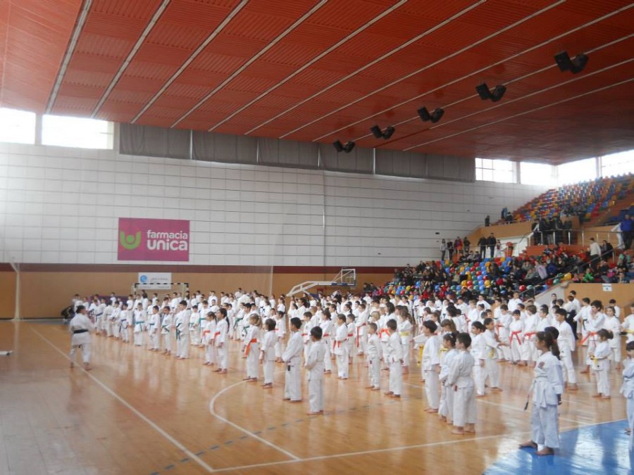 Bilanţ impresionant pentru karateka gălăţeni la Campionatul Naţional: 47 de medalii