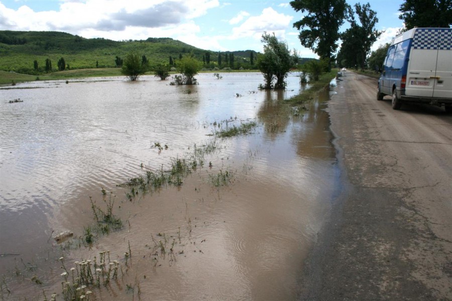 În nordul judeţului Galaţi a plouat de s-au înecat câmpurile 