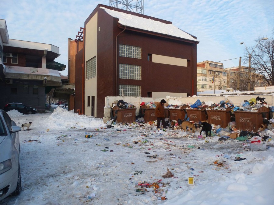 "Dezgheţul" autorităţilor gălăţene: ECOSAL promite că ZĂPADA şi GUNOAIELE vor DISPĂREA (FOTO)