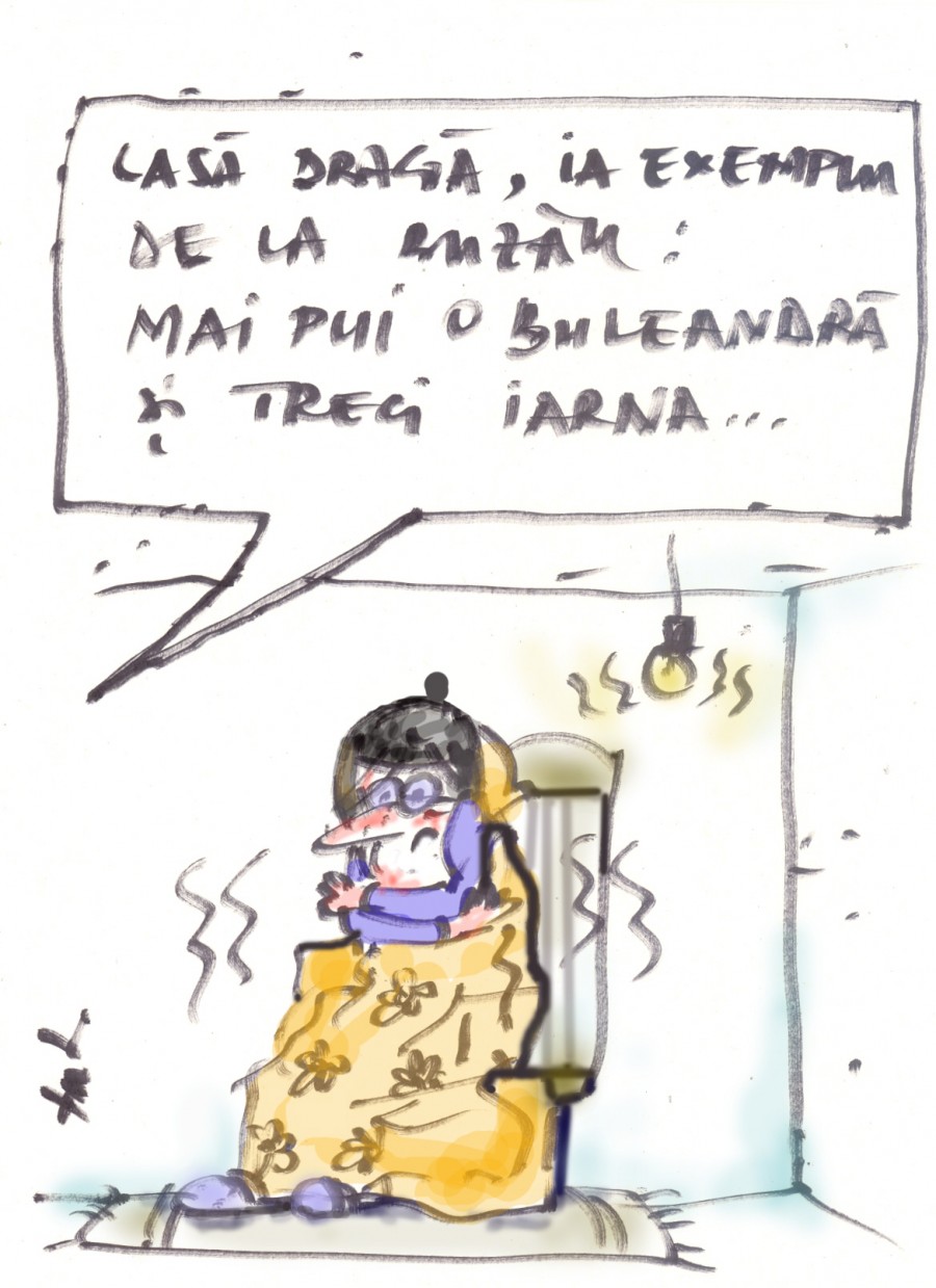 Caricatura 29 ianuarie 2014