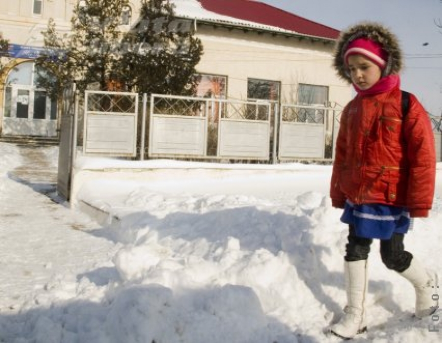 Microbuze şcolare trase pe treapta