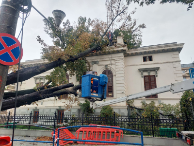 Arborii putrezi ai Galațiului au pierdut meciul cu ”ciclonul Ashley”