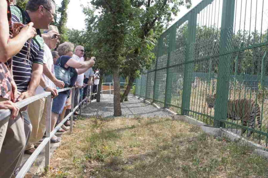 Noua ATRACȚIE de la ZOO vă aşteaptă să o vizitaţi