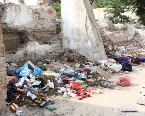 Unde şi cum sesizăm dacă vedem maidanezi sau mizerie?