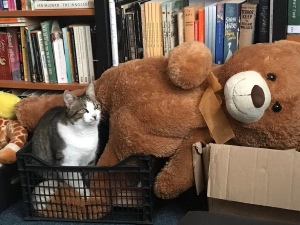 Prietenii mici şi mari ai Bibliotecii Franceze găsesc aici multe atracţii