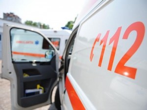 Siameze unite în zona toracelui şi a abdomenului, aduse de la Piteşti la Bucureşti 