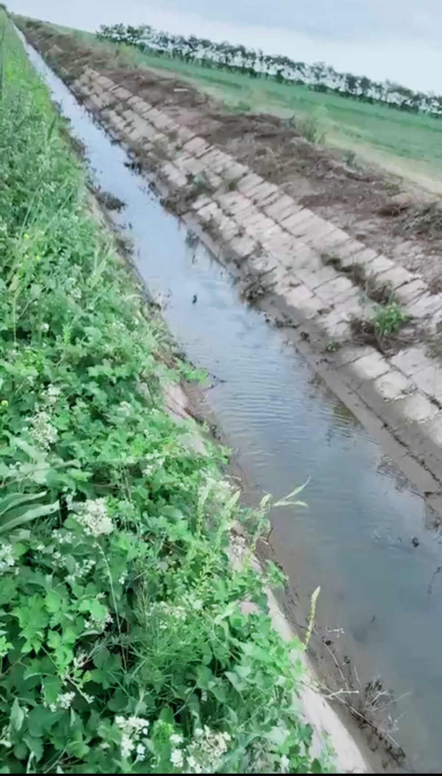 După mai bine de un deceniu, apă pe canale, în zona Barcea