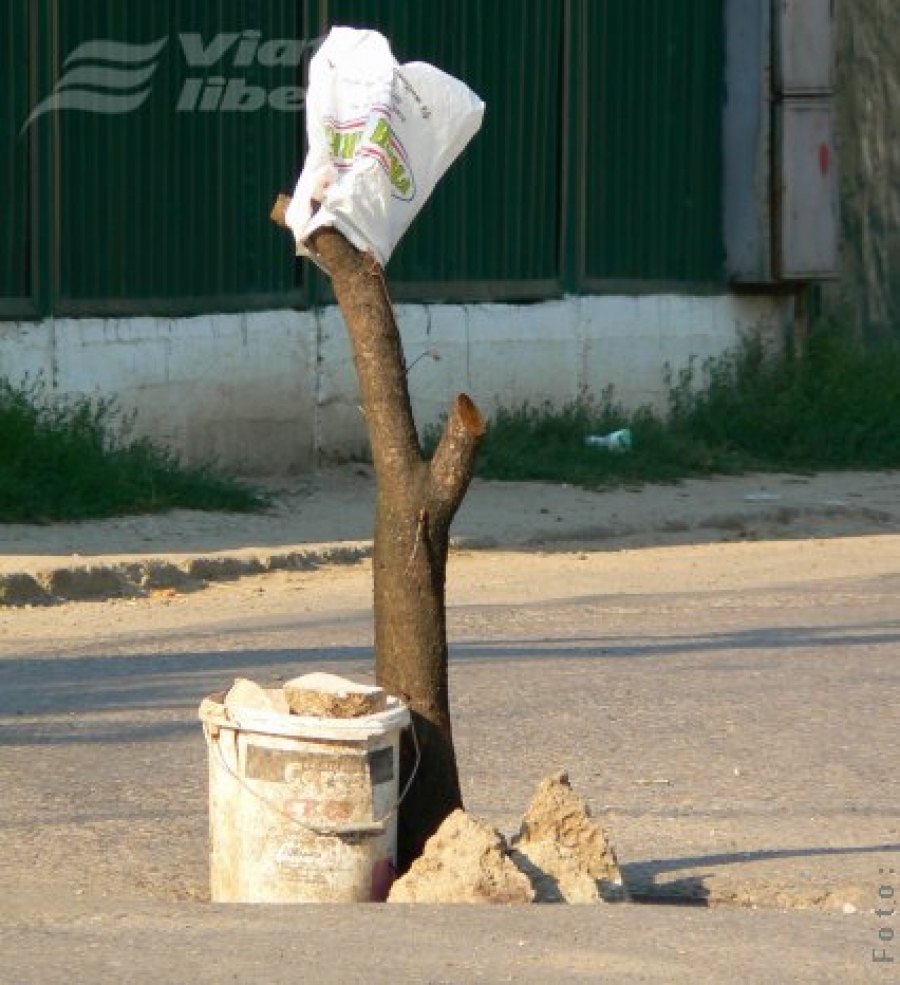 Semn de circulaţie… în creştere