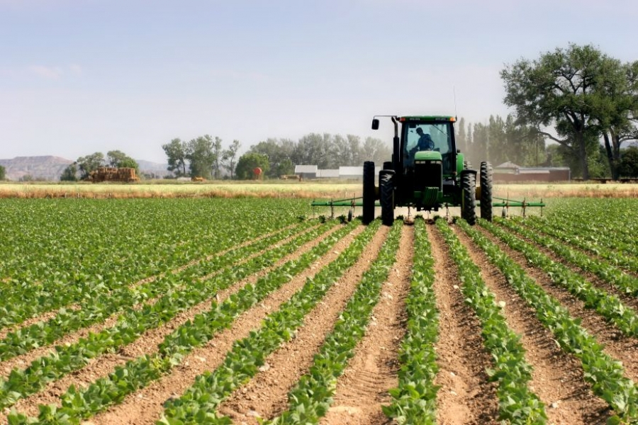 Activităţi agricole | Când trebuie plătită prima rată a impozitului pe venit