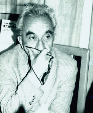 Oameni de seamă. Mircea Ivănescu, poet, traducător
