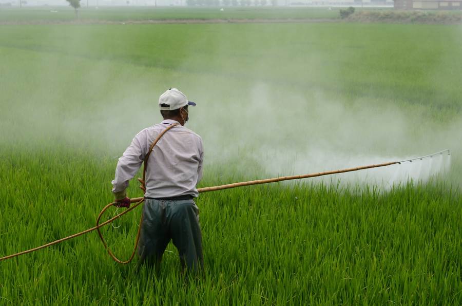 Fermierii riscă închisoarea dacă folosesc erbicide fără autorizație