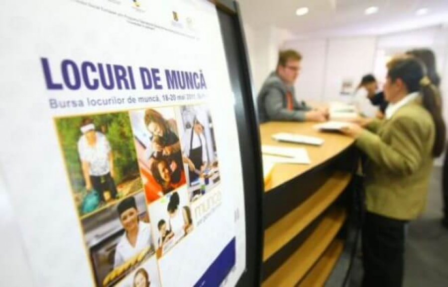 Sectoarele cu cele mai multe locuri de muncă vacante