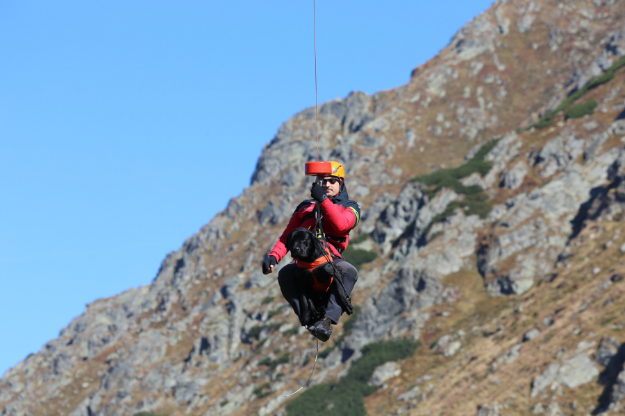 Spectaculos antrenament al câinilor Salvamont. Ridicați în aer cu elicopterul, pe Transfăgărășan