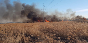 Incendiu de vegetație la Tulucești