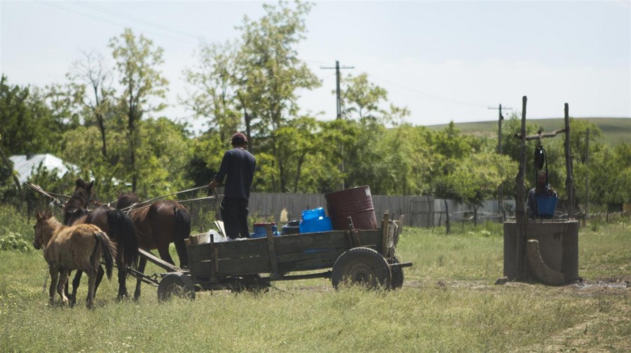 GALERIE FOTO / Campanie VL "Sate care mor": Lupele – satul care nici măcar cimitir nu mai are